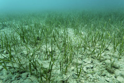 Full frame shot of sea shore