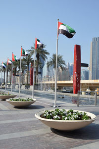 Flag on palm trees against clear sky