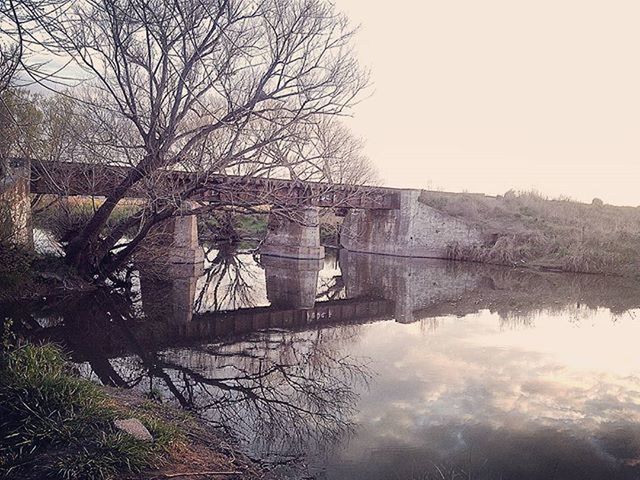 REFLECTION OF TREES IN RIVER