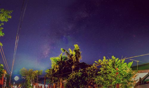 Low angle view of trees against star field at night