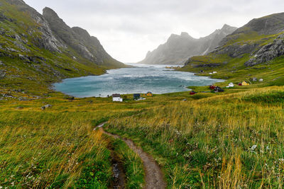 Scenic view of hiking trail leading to houses in village vinstad at the coast in lofoten norway