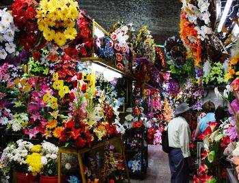Low angle view of multi colored flowering plants at store