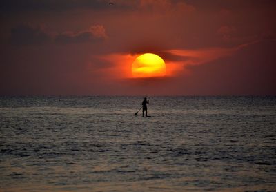 Silhouette person paddleboarding in sea against orange sky