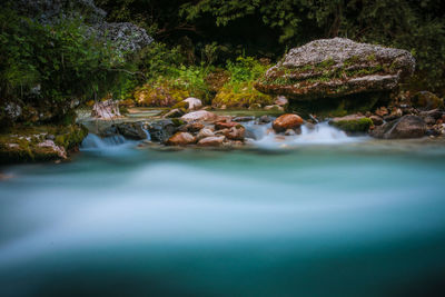 Scenic view of waterfall in forest