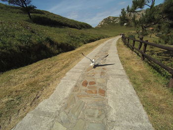 View of landscape against sky