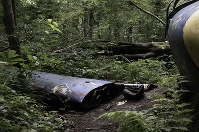 Abandoned car on field