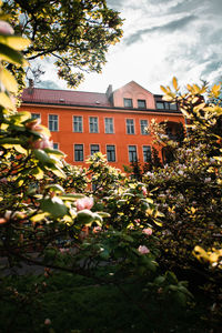 Flowering plants and buildings against trees and houses