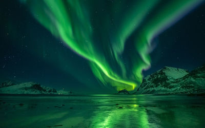 Aurora borealis over sea against sky at night