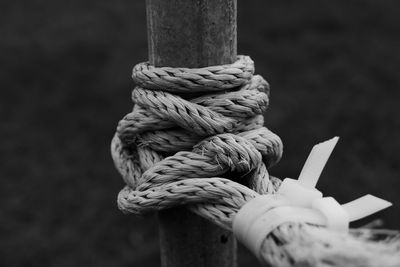 Close-up of roped tied to metallic pole