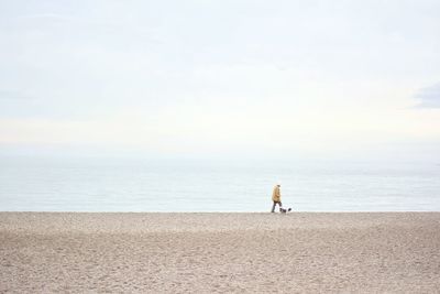 Distant view of person walking with dog at beach against sky