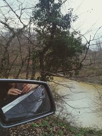 Bare trees on landscape against sky in forest