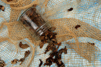 High angle view of fish in glass jar on table