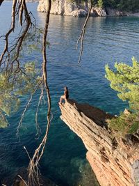 Close-up of tree trunk