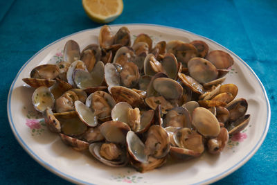 High angle view of shells in plate on table