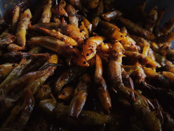 Close-up of roasted seafood