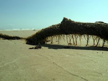 Scenic view of calm sea against clear sky