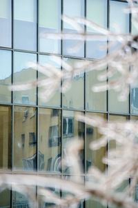 Reflection of buildings on glass window