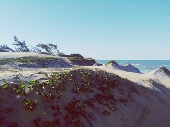 Scenic view of beach against clear sky