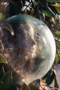 Close-up of young woman wearing glass ball on head amidst leaves