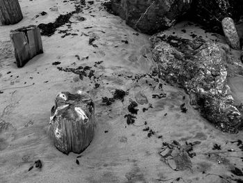 High angle view of tree stumps by rock formations at beach