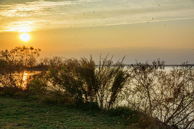 Scenic view of lake against sky during sunset