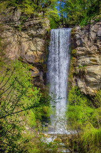 Scenic view of waterfall in forest