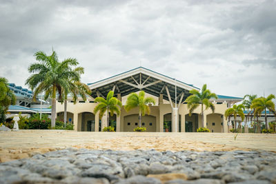 View of palm trees by building against sky