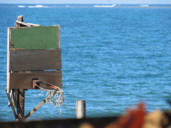 View of an animal on beach