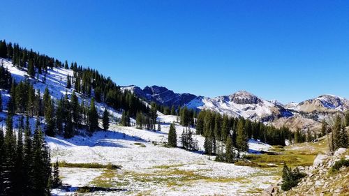 Scenic view of snowcapped mountains against clear blue sky