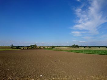 Scenic view of agricultural field against blue sky