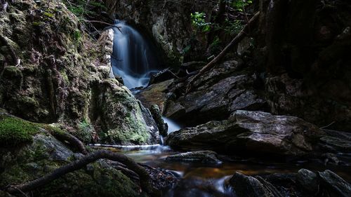 Waterfall in forest