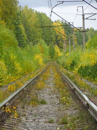 Railroad tracks amidst trees against sky
