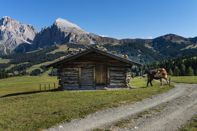 Horse on field against mountain range