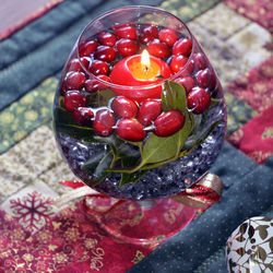 Close-up of red rose