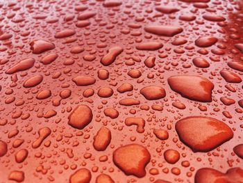 Full frame shot of raindrops on surface