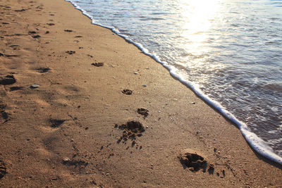 High angle view of beach