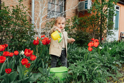 Spring gardening activities for kids. cute toddler little girl in raincoat watering red tulips