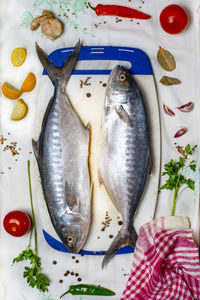 High angle view of fish on table