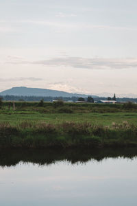 Scenic view of field against sky