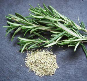 High angle view of vegetables in container