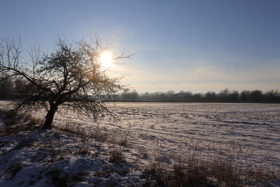 Scenic view of snow covered field against sky