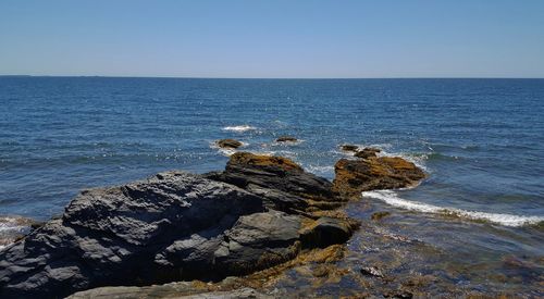 Scenic view of sea against clear blue sky