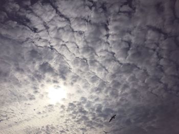 Low angle view of birds flying in sky