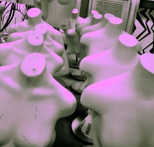 Close up of pink petals