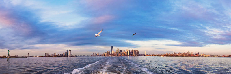 Birds flying over sea and buildings in city