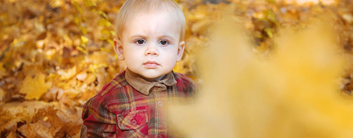 Cute boy against autumn leaves