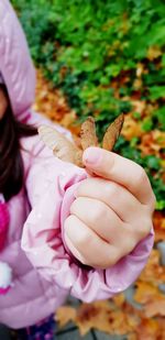 Close-up of hands holding leaves