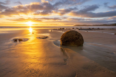 Morning sun shining in moeraki boulders, hampden, new zealand