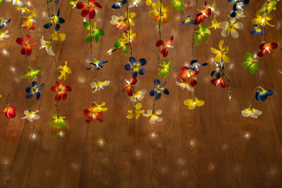 High angle view of multi colored flowers in toy