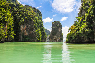 Panoramic view of sea and trees against sky